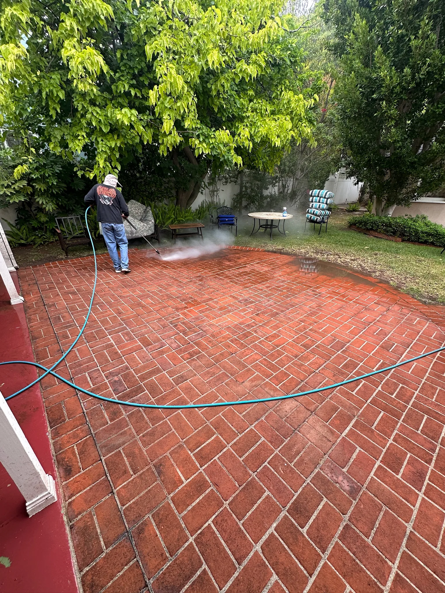 Brick patio after cleaning